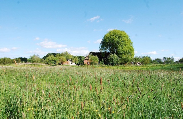 Pure idyll in a secluded location under the thatch at the edge of the forest