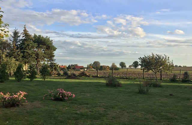 Pure relaxation and the opportunity to discover something at any time