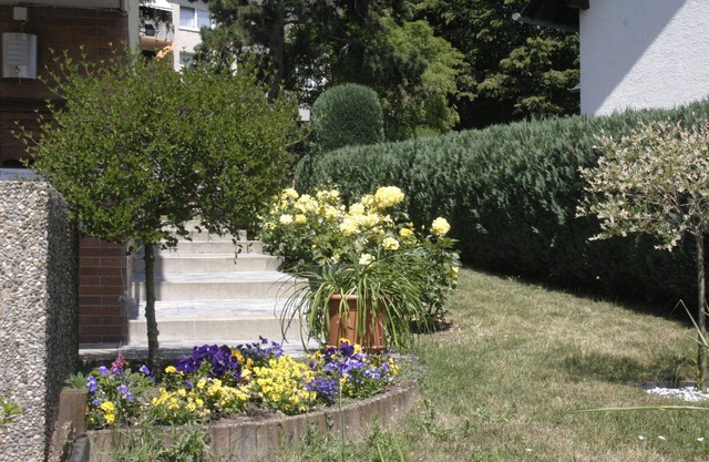 Quiet apartment, vineyards nearby, 15 minutes walk to the center,