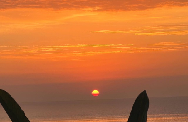 Quiet apartment 80m from the sea, beaches and shopping, all within walking distance