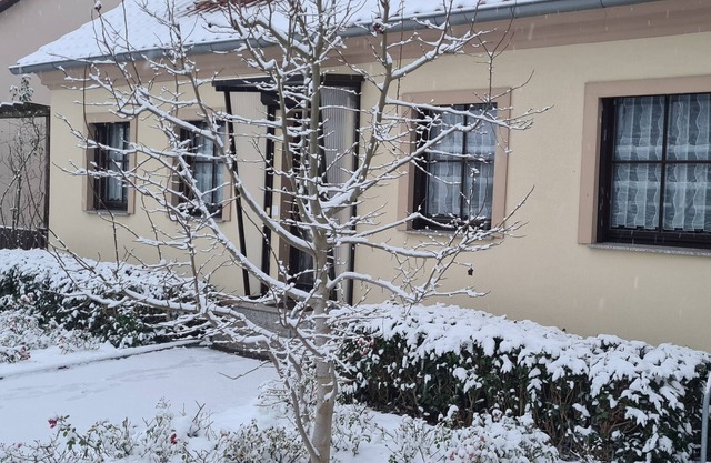 quiet apartment "Am Nationalpark Unteres Odertal"