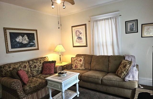 Quiet, Bright, and Spacious Apartment in Historic District.