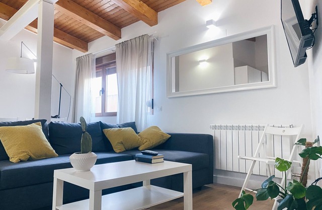 Quiet, bright, renovated and spacious penthouse. One minute from the Plaza Mayor.