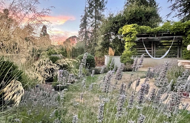 Quiet, Elegant Apartment With Beautiful Views & Terraced Gardens