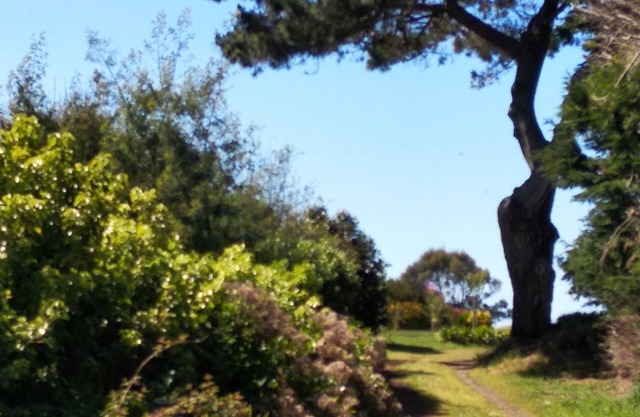Quiet gîte close to Pors Hir beach - ideal for families