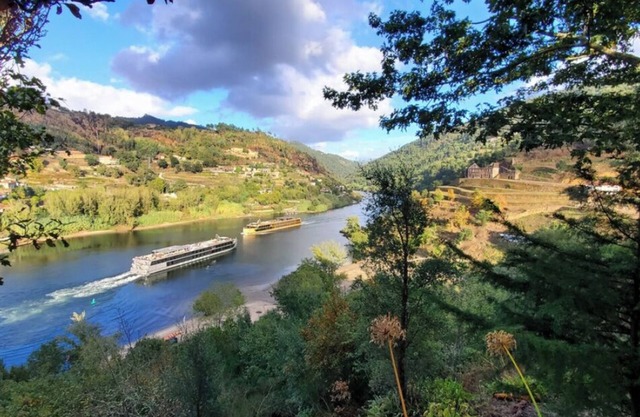 Quinta da Boavista - Douro River Villa