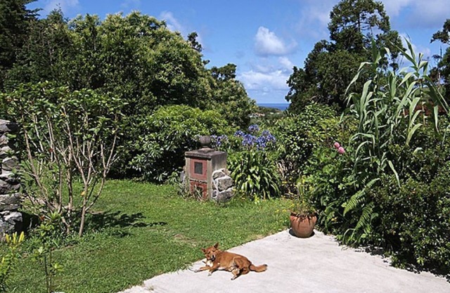 Quinta das Abelhas -Cantinho de Mel - 2 bedrooms