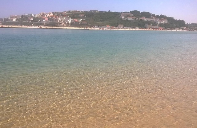 Quinta do Bom Sucesso