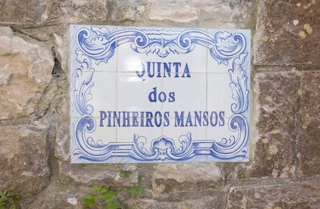 Quinta dos Pinheiros Mansos - Serra da Arrábida