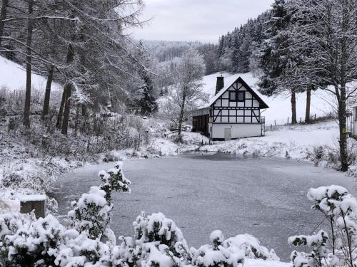 Rückzugsort am Teich in Winterberg