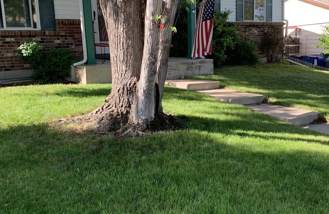 Ranch style home in Aurora