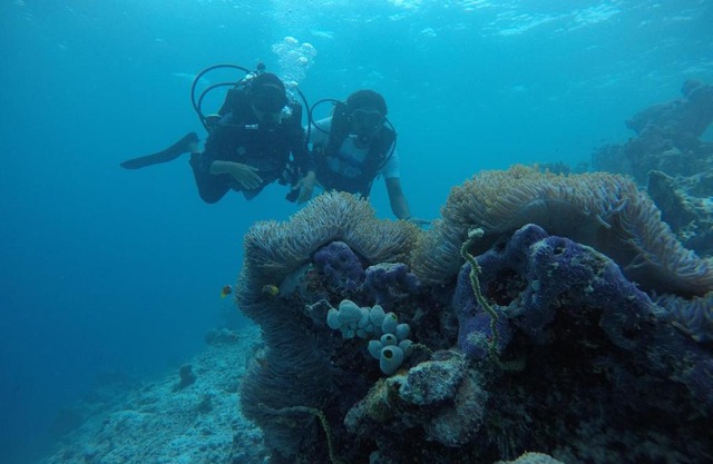 Rasdhoo Wave Blue
