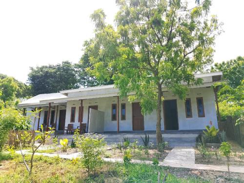 Rasta Homestay Ekas Bay