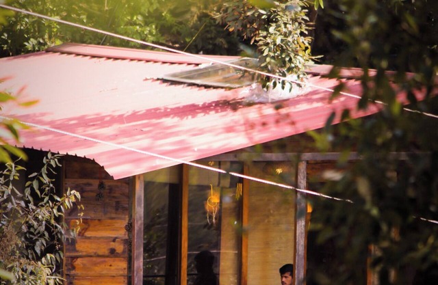 Reconnect with nature, heal your mind, body, and soul.