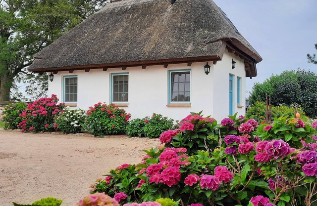 Recreation in the country in the guesthouse Upatel