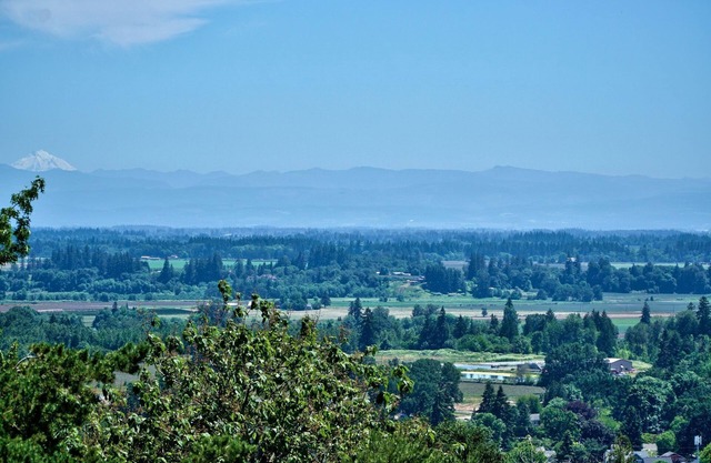 Red Hills Vacation ~ Three Bedroom Guest Suite with a Private Hot Tub and Sauna