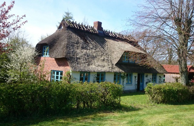 Reetdachkate seaside