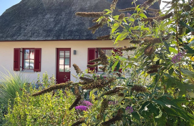 Reethaus Lütt Seeadler