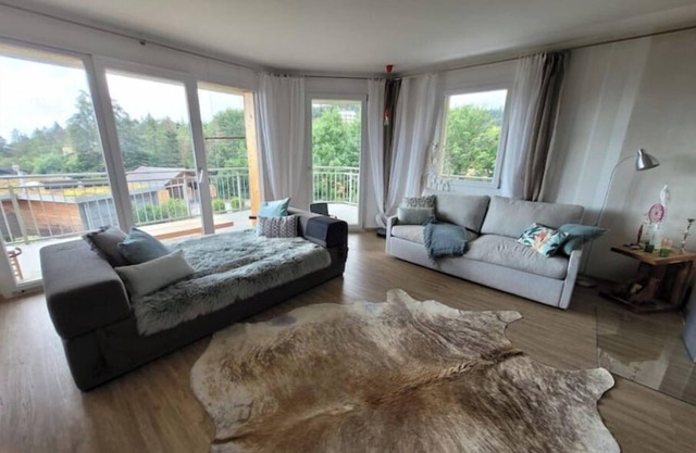 Relax with a view of Mont Blanc and Lake Geneva