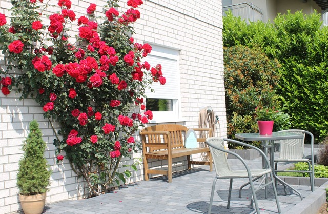 Relaxation near Cologne in the middle of nature