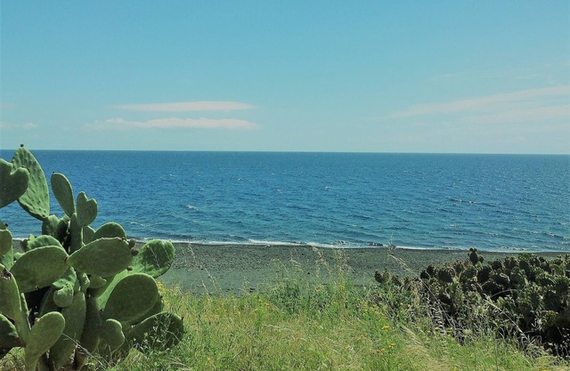 Relaxing holiday by the sea