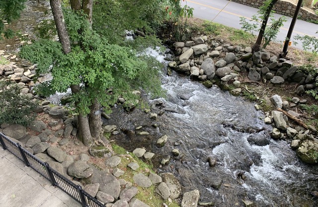 Remodeled! Large balcony overlooking the creek with amazing sounds
