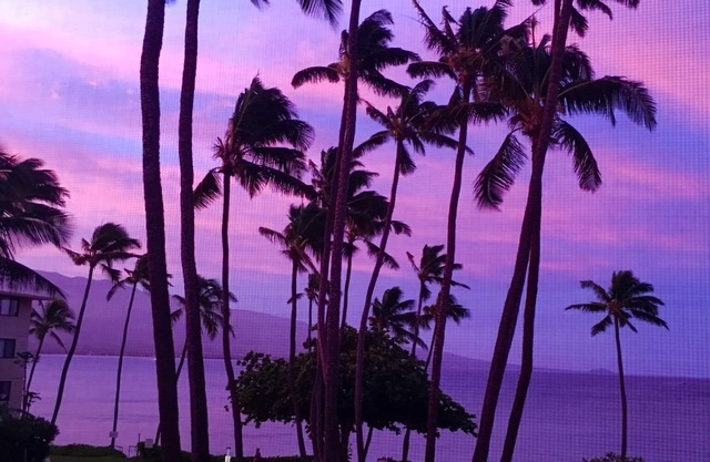 REMODELED Maui Oceanfront Condo w/Pool, Sandy Beach & the sounds of gentle Waves