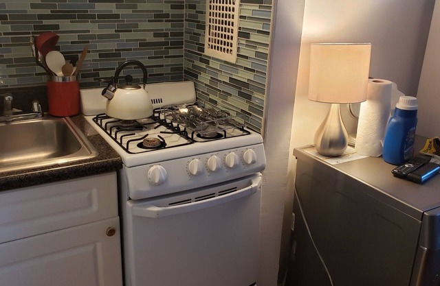 Renovated and Sunny Chelsea/Hudson Yards studio has Washer/Dryer, Free WiFi