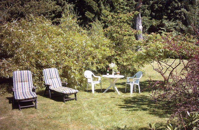 Rest and relaxation, right on the mid-lake, home, app, DZ, EZ