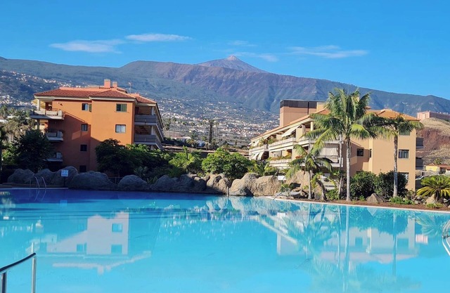 Retama del Teide, Puerto de la Cruz