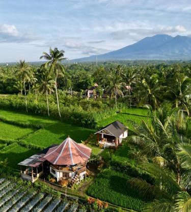 Rice Field inn - Lombok