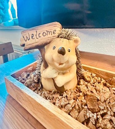 Richter Apartments Finsterwalde 4