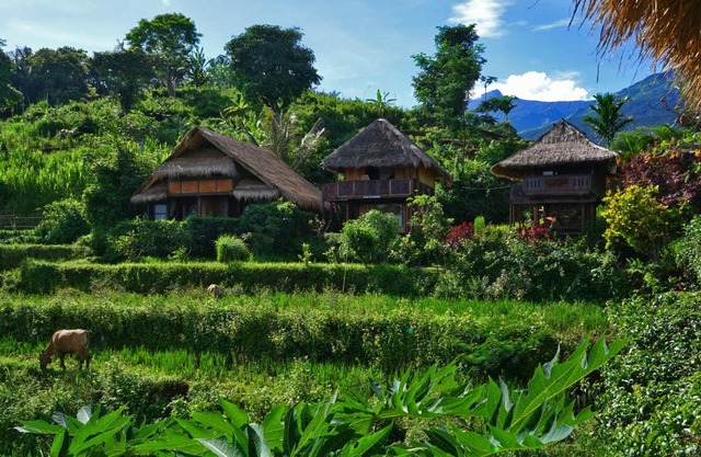 Rinjani Mountain Garden