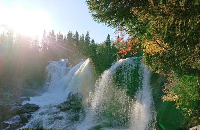 Ristafallets Camping