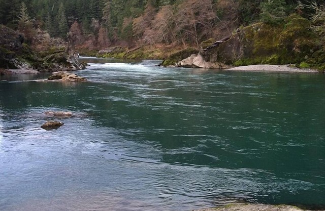 River Vista Homes: Perfect for Fishing, Swimming, and Relaxing by the Water