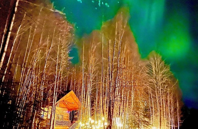 Riverfront, Authentic, Luxury Log Cabin-Black Bear