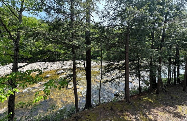 Riverfront Condo, walk to Mountain and Town!