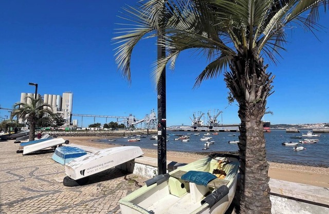 Riverside Nature Apartment