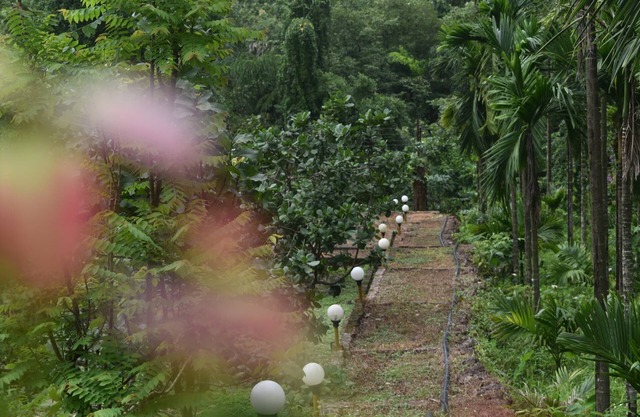 Riverstone Nature Resort