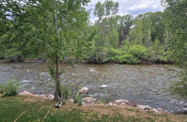 Riverview Retreat: Modern Condo overlooking the Roaring Fork