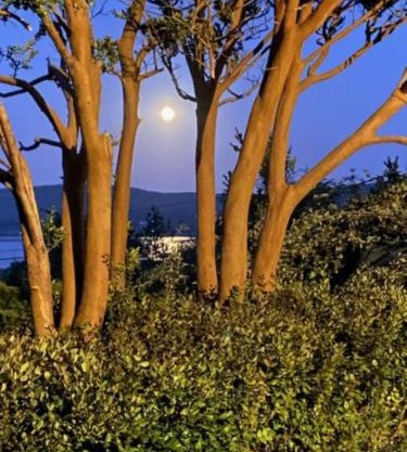 Rodeen self-catering apartment