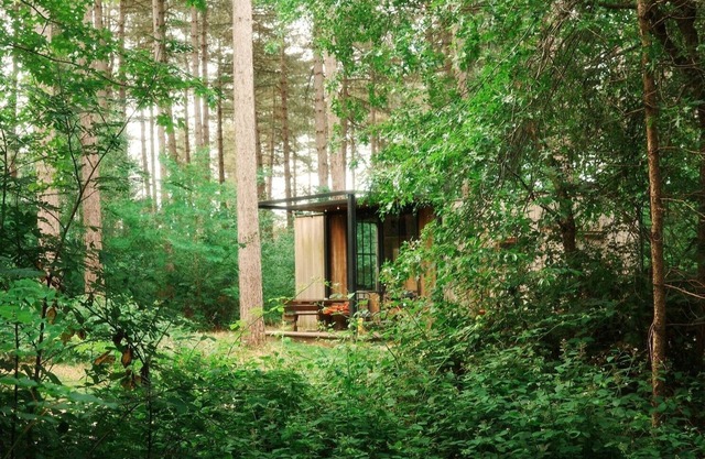 Romantic cabin for 2