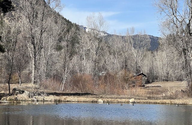 Romantic Cabin with Incredible Views, 5 miles to Durango on Lightner Creek