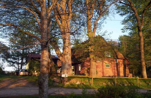 Romantic thatched roof house