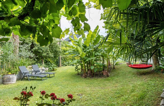 Room 'Gästezimmer' with Shared Terrace, Shared Garden and Wi-Fi