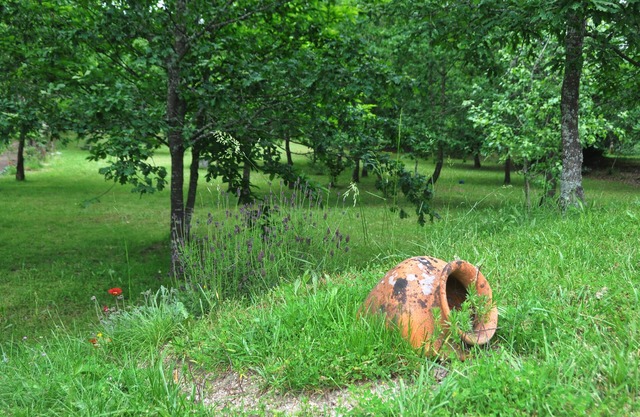 Room-paradise is Real at Vale Martinho R