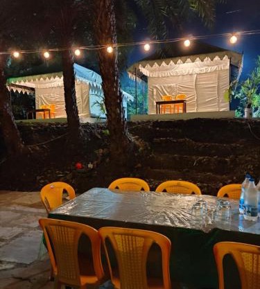 Roots The Jungle Cafe And Resort