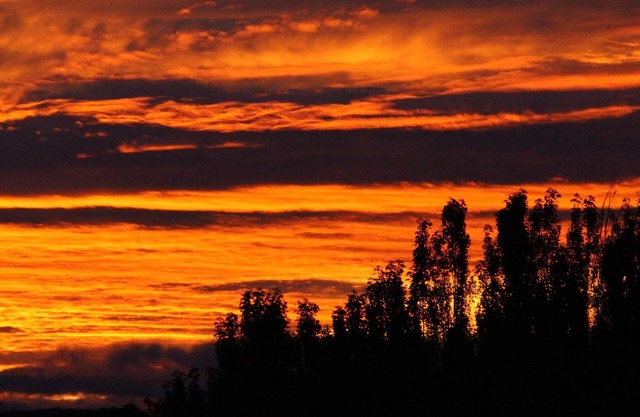 Ross B&B Accommodation