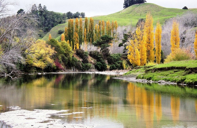 Ruakituri Retreat - Serene river frontage