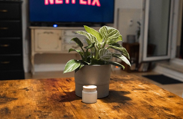 Ruhiges Apartment mit großem Balkon